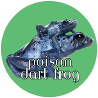 Review 3 Books Badge