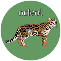 Read 5 Books Badge