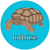 Adult Program Badge